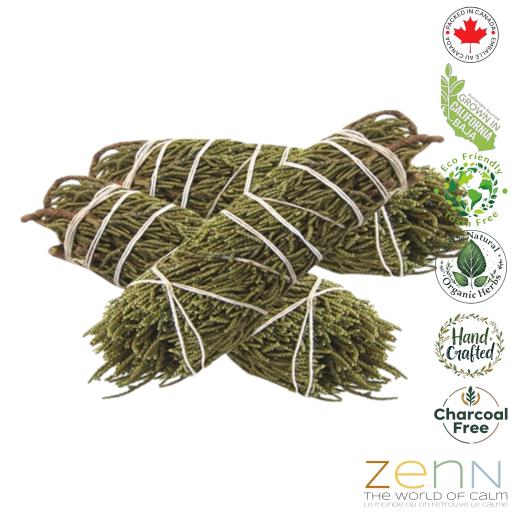 Juniper (Jericho Rose) 4`` (Packaged 3 Pcs/ Bag With Header Card) Natural Product; Colour & Size May Vary