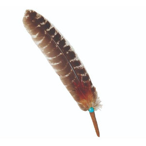 ZenN Smudge Feather With Turquoise Bead (10"-12") Barred Turkey Feather (10"-12")