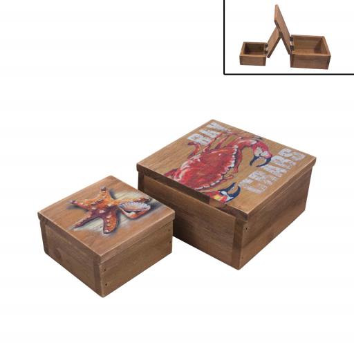 Blue Harbour Box Set Of 2 Crab / Starfish 