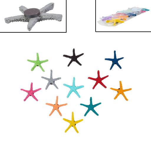 Blue Harbour Starfish Magnet Set Of 12 Colours 