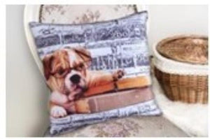 SeasonZ Dog Cushion 18"X18" Including Pillow Insert 