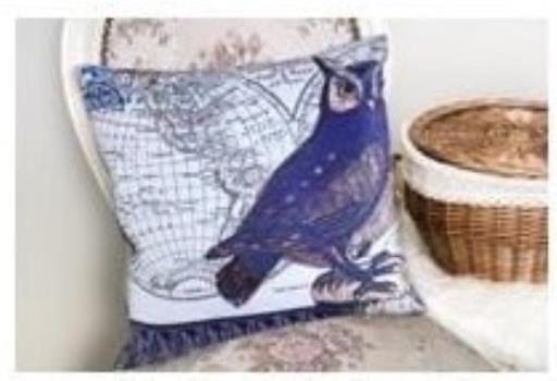 SeasonZ Blue Owl Cushion 18