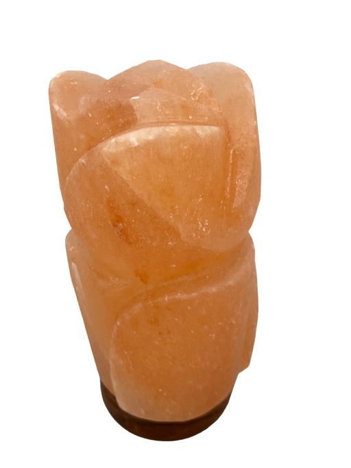 ZenN Himalayan Salt Lamp Lotus Shape With Wooden Base Ul Cerftied 2 Meter Long Cord With Dimmer 15 Watts Bulb