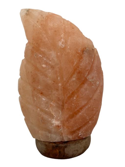 ZenN Himalayan Salt Lamp Fern Shape With Wooden Base Ul Cerftied 2 Meter Long Cord With Dimmer 15 Watts Bulb