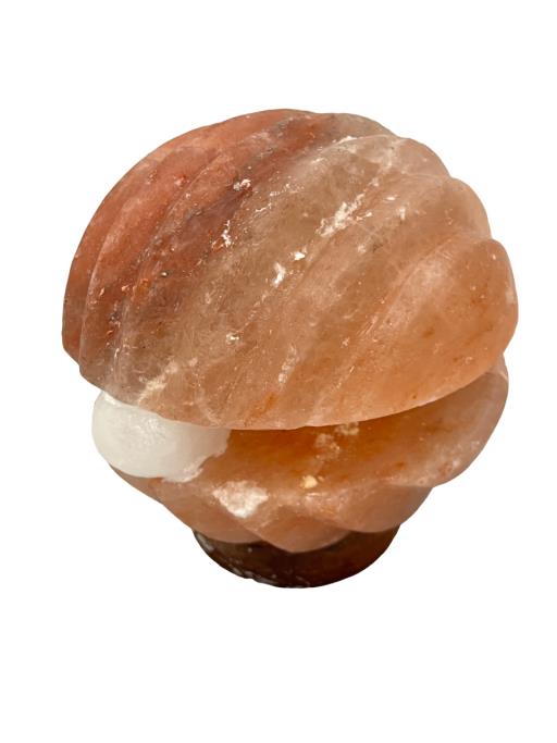 ZenN Himalayan Salt Lamp Shell With Pearl Shape Ul Cerftied 2 Meter Long Cord With Dimmer 15 Watts Bulb