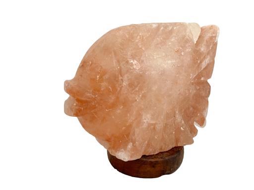 ZenN Himalayan Salt Lamp Fish Paplate Shape With Wooden Base Ul Cerftied 2 Meter Long Cord With Dimmer 15 Watts Bulb