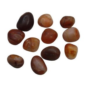 ZenN- Crystal & Gemstone Red Carnelian Tumbled Stones 500G / 1.10 Lb Per Bag Brown Red Orange